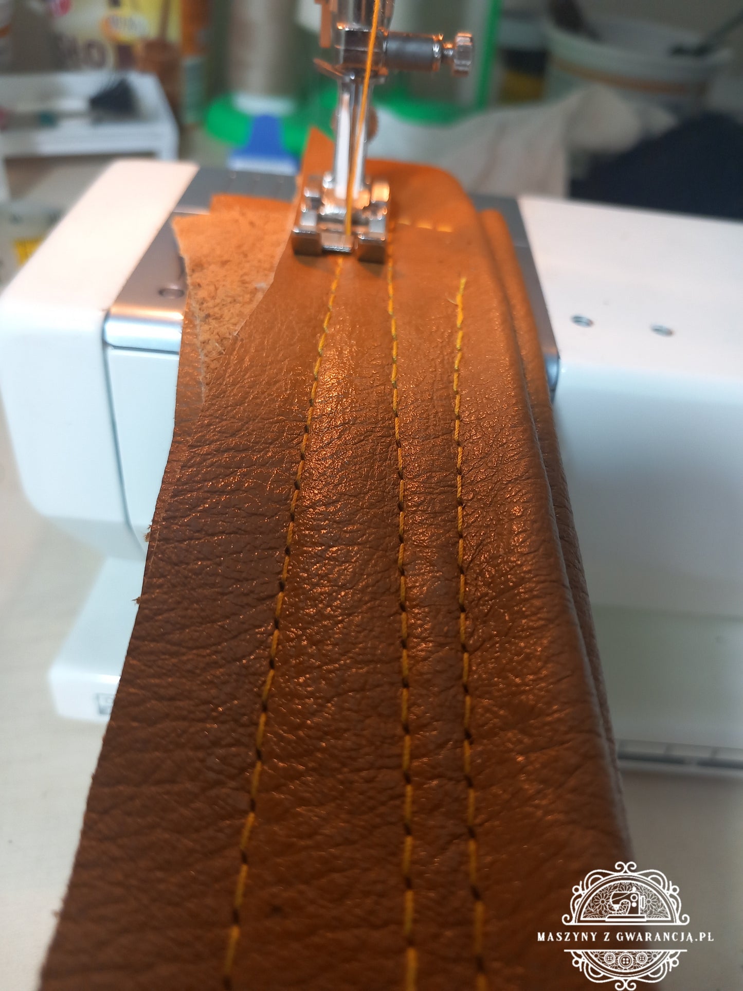 BERNINA 1031