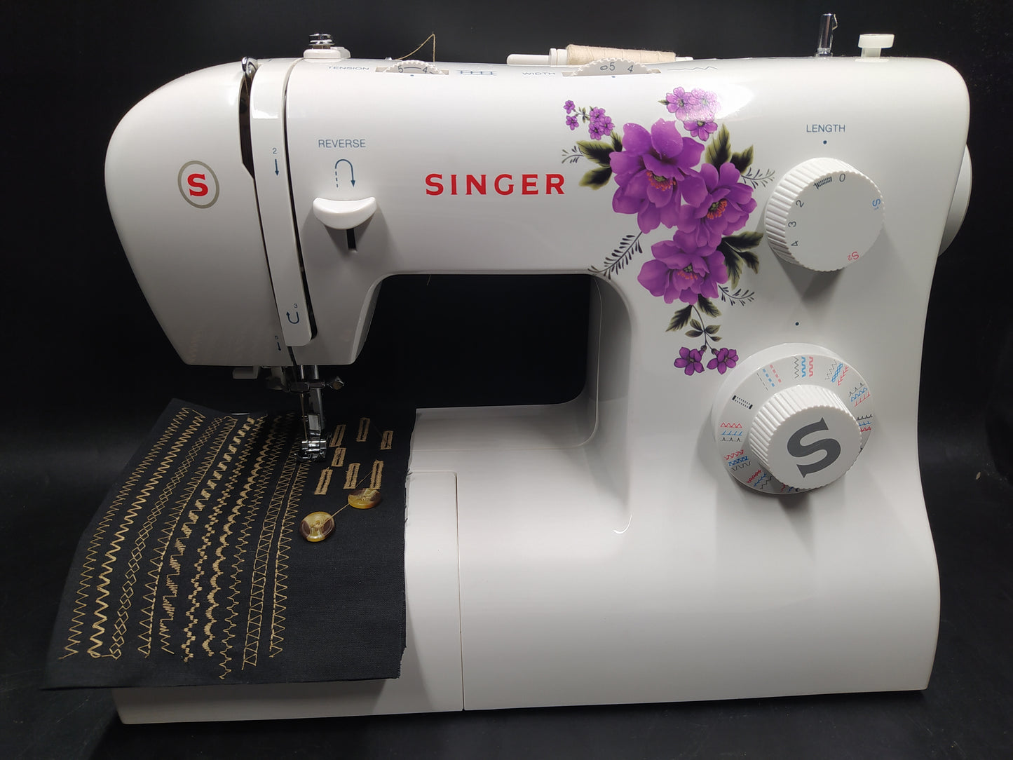 SINGER SERENADE